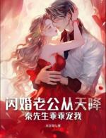 闪婚老公从天降，秦先生乖乖宠我