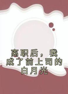 离职后，我成了前上司的白月光