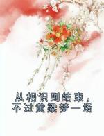 从相识到结束，不过黄粱梦一场