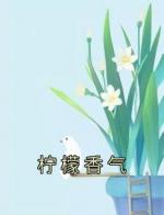 主角是陆铮阿辞的小说在线阅读 柠檬香气免费阅读