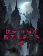 快穿:开局觉醒无上帝王系统