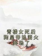 青楼女死后狗皇帝追妻火葬场了