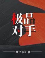 宦海杀星：绝对正义